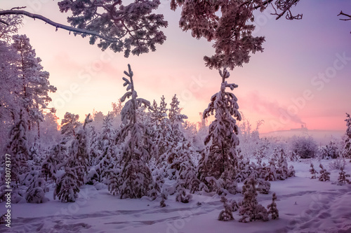sunrise in winter