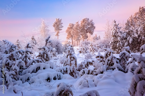 winter landscape with snow