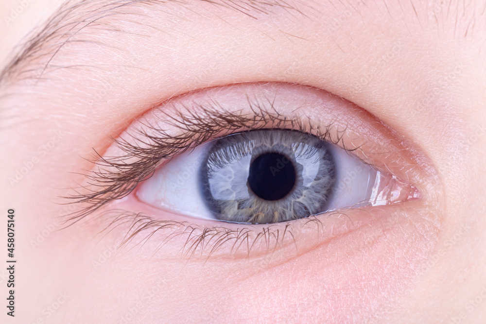 the eye is open. studio lighting. a girl, a teenage macro. close-up. the eye is open. studio lighting. a girl, a teenage macro. close-up.