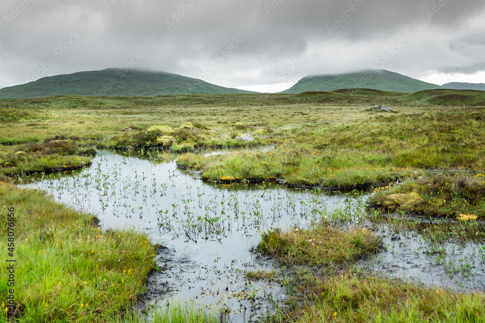 Fototapeta premium Landscape along the West highland Way in Scotland. a view of Rannoch moor, between moor and marsh, in the rain.