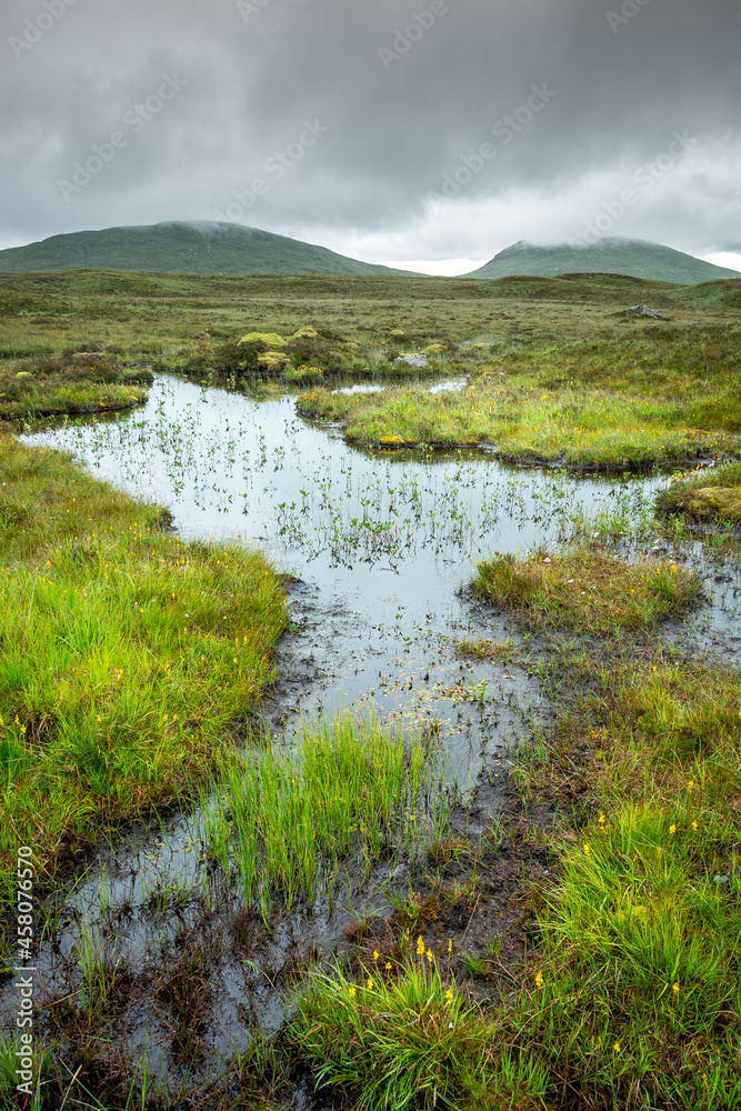 Fototapeta premium Landscape along the West highland Way in Scotland. a view of Rannoch moor, between moor and marsh, in the rain.