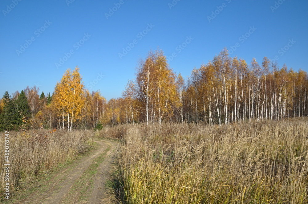 Autumn landscape on a sunny day