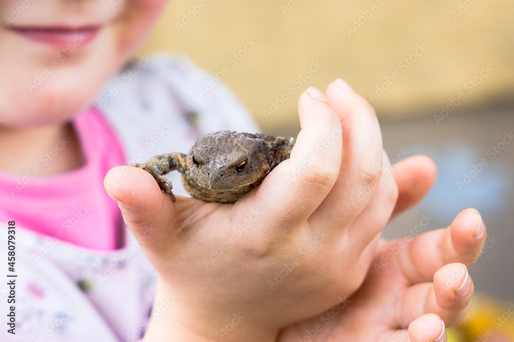 A little girl is happy about a toad in his hand