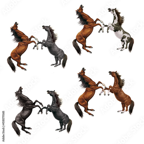  cheval  silhouette  combat    talon  animal  illustration cavalier  galop  conception  course  mammif  re  sauvage  chat  sport  amoureux des chevaux  crin 
