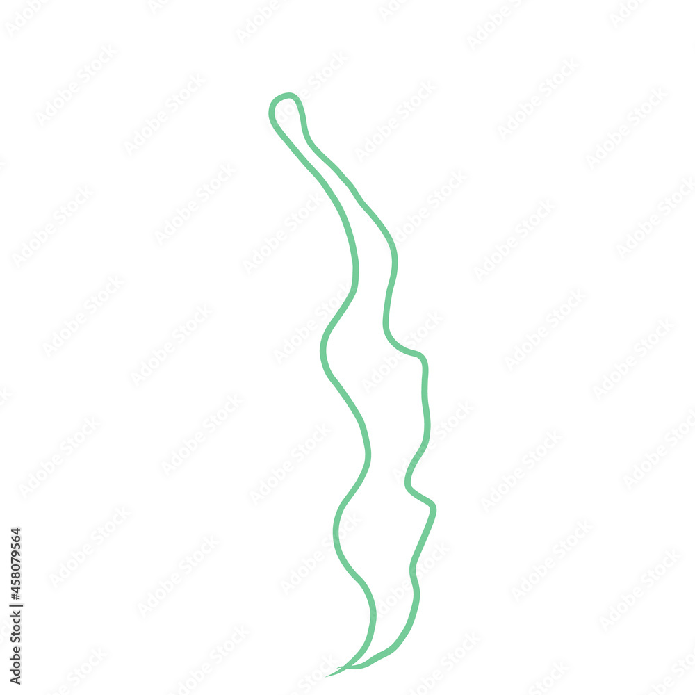 seaweed cartoon silhouette of laminaria doodle. shape green plant line vector illustration clip art
