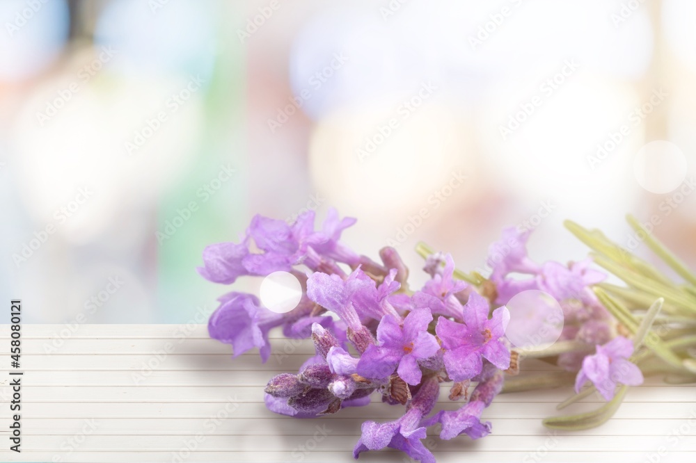 Beautiful fresh lavender flowers with green leaves Beautiful fresh lavender flowers with green leaves