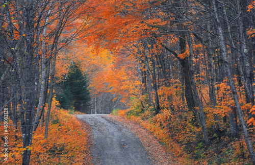 Fall foliage along scenic road through Parc de la Jacques-cartier national park in Quebec, during autumn time.