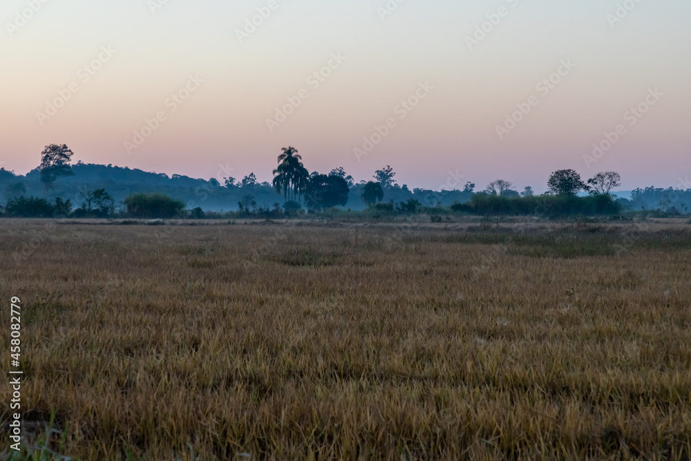 Farm field at sunrise with mountain and forest