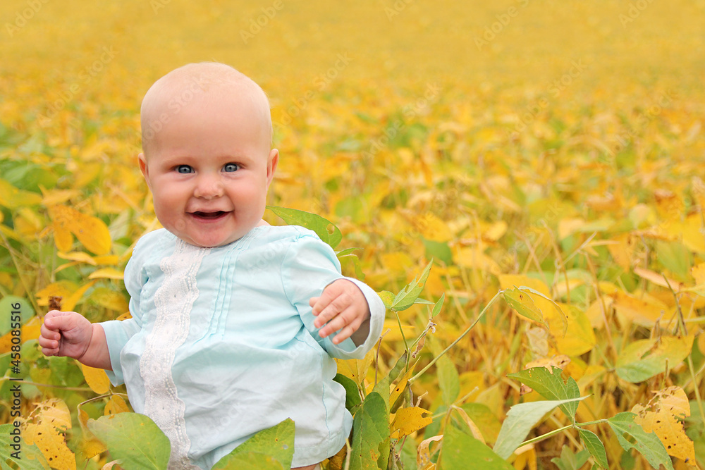 Beautiful Baby Outside in Nature in Autumn Beautiful Baby Outside in Nature in Autumn