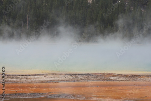 Geyser pool with steam, forest and colorful bacteria