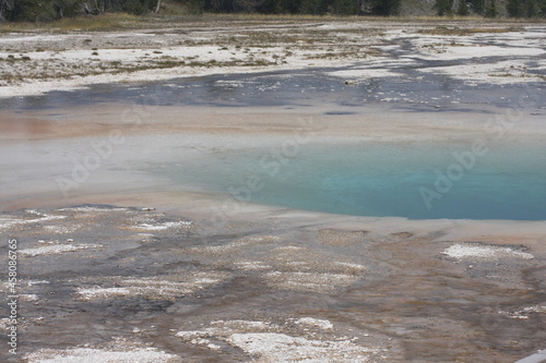 Geyser pool with forest Yellowstone National Park