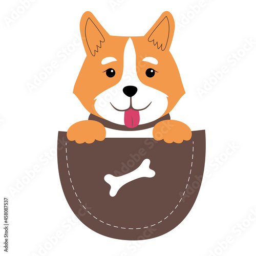 Cute joyful corgi with paws and tongue in a pocket.  Vector character in a flat cute style. It is perfect for the design of a t-shirt, a poster or for advertising pet