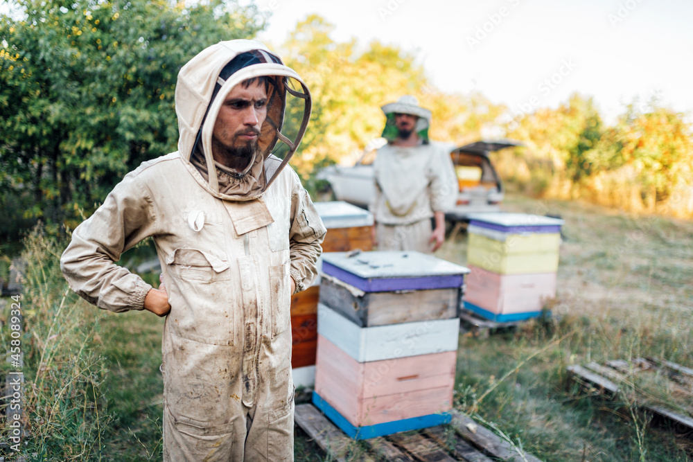 Apiary work. Serious beekeeper stands near beehive.
