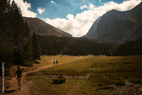landscape in the mountains