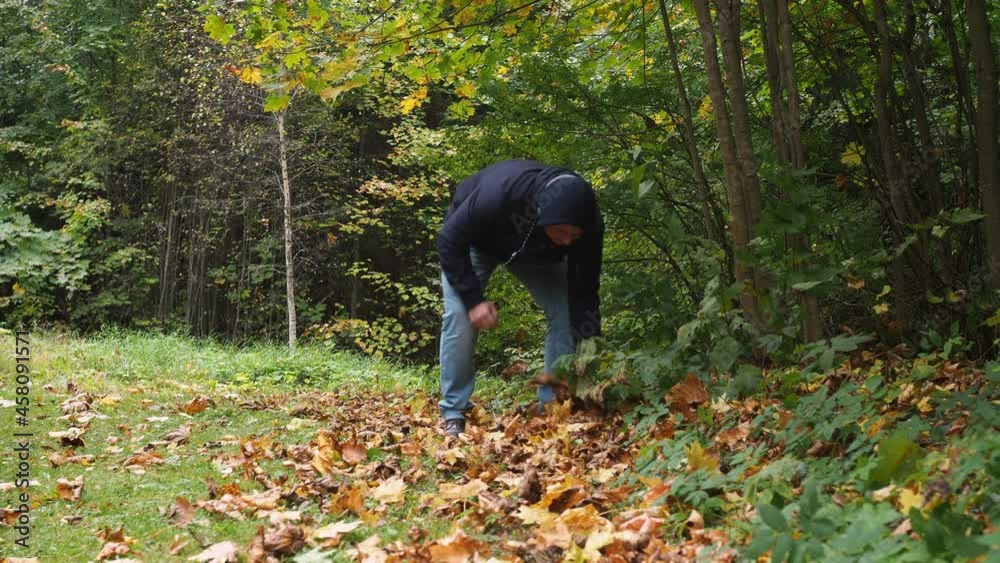 a man in jeans and boots walking on fallen leaves.golden autumn. park a man in jeans and boots walking on fallen leaves.golden autumn. park
