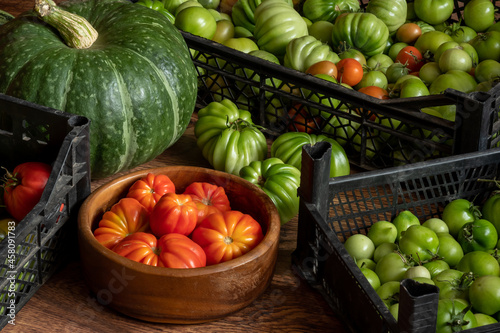 harvest of fresh tomatoes in crates, pumpkin and basket with hazelnuts stacked on the floor