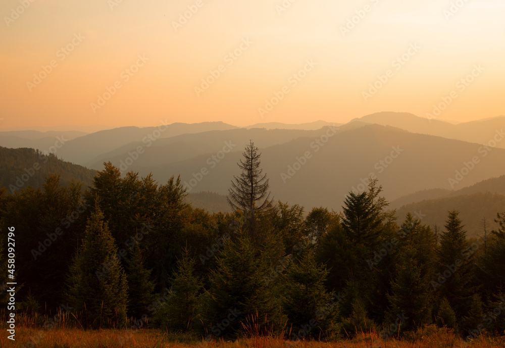 dramatic mountain hills sunset scenic view with pine trees forest and abstract soft focus highland ridge background horizon and orange evening sky and empty copy space - obrazy, fototapety, plakaty 