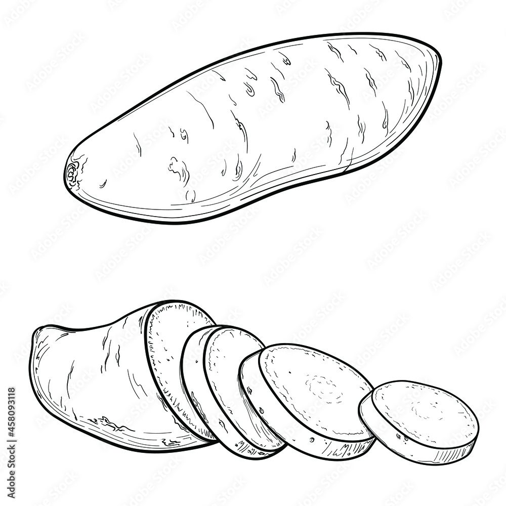 Chopped Sweet Potato or Batata. Vector illustration, isolated on a