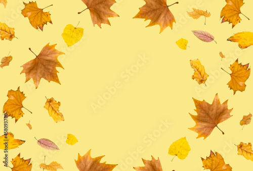 Leaves on a trendy yellow background. Autumn composition with copy space. Minimal creative idea. Top view. Flat lay.