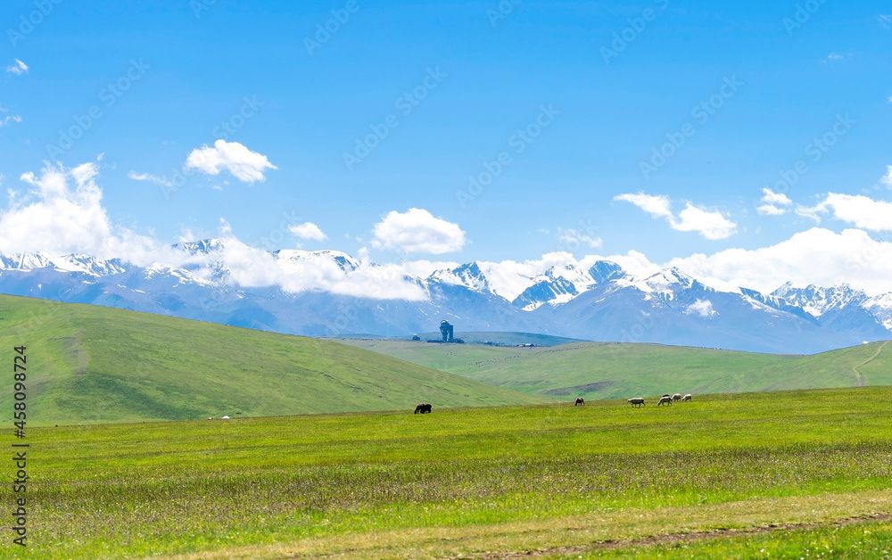 Obraz premium Plateau Assy in Kazakhstan near Almaty city. View of high mountain observatory and grazing animals