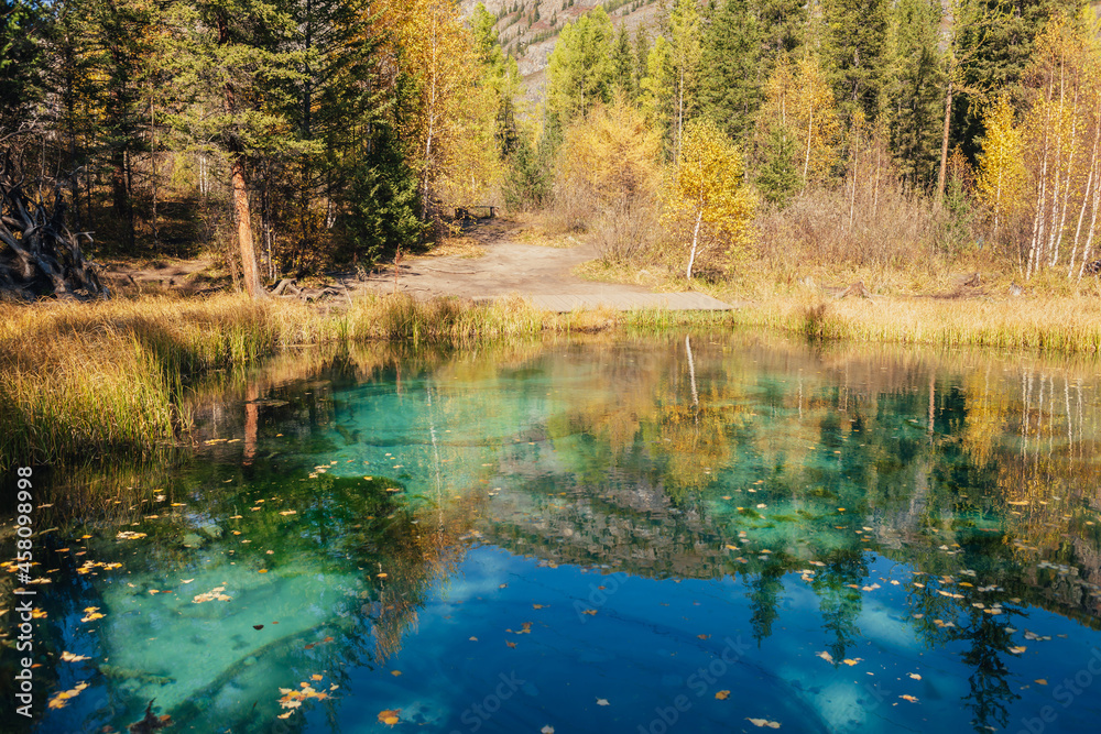 Colorful autumn landscape with clear mountain lake in forest among yellow trees in sunshine. Bright scenery with beautiful turquoise lake in golden autumn colors. Unusual transparent lake in fall time