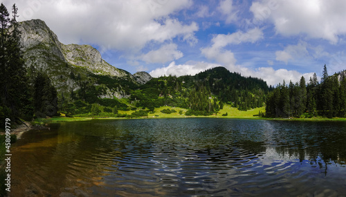 wonderful mountain lake with mountain trees and meadow panorama