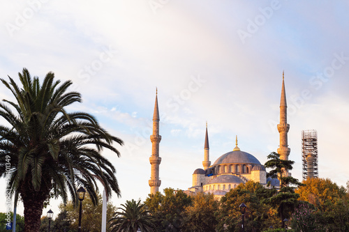  Blue Mosque, Sultan Ahmet Mosque, at dawn. The view of architecture, garden and facade in old town, Istanbul, Turkey