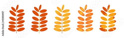 Withered autumn motley leaves. Fallen leaves with variegated texture
