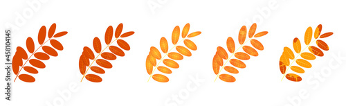 Withered autumn motley leaves. Fallen leaves with variegated texture