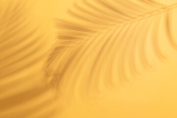 tropical palm leaves on yellow background with sunlight. Minimal summer creative flat lay...