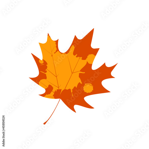 Withered maple leaf. Fallen autumn maple leaf icon