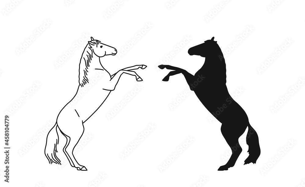 Horse rears standing, line art and silhouette