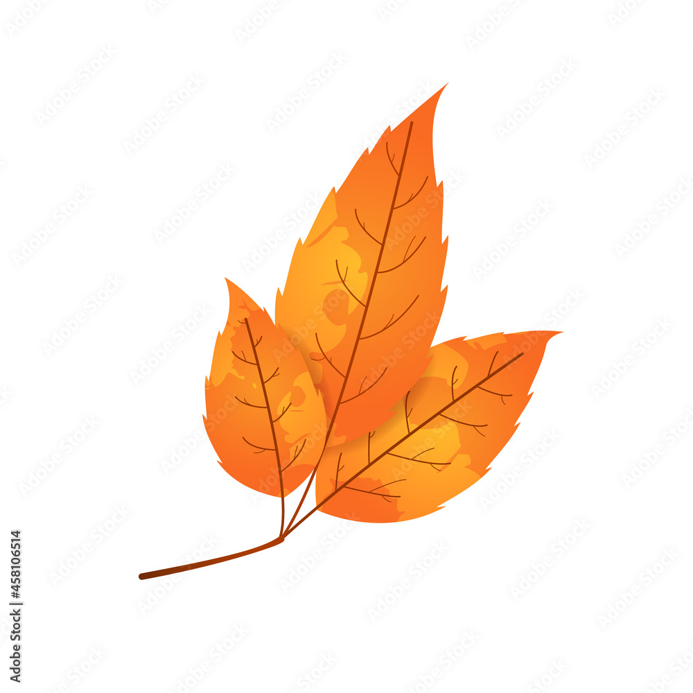 Naklejka premium Withered autumn motley leaf. Fallen leaf with blot texture.