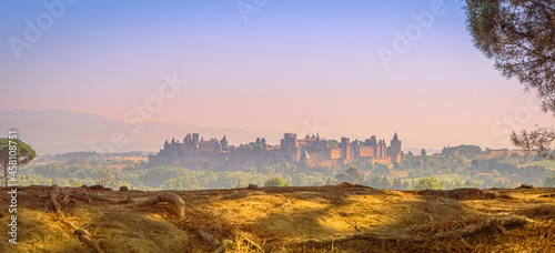 Принти на полотні Panorama de la cité de Carcassonne et des remparts de la forteresse