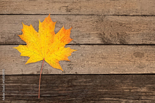 yellow maple leaf on old wooden background. symbol of autumn season. fall time. top view. copy space