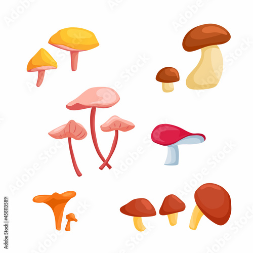 A large set of vector illustrations with mushrooms in a cartoon style, isolated on white. Porcini mushroom, chanterelles, syroezhka, pink licorice, pepper mushroom, buttermilk