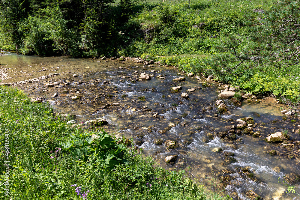 Obraz premium Summer, a natural park, walking in the fresh air, along the canyon of a mountain river, fascinating places to travel on a sunny day.