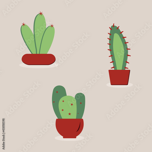 cactus succulents