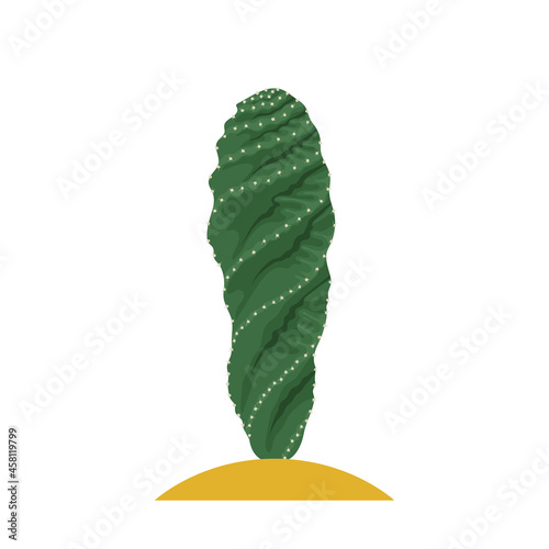 Cactus flat illustration on white background. Desert and exotic plant.