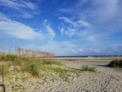 sand dunes on the beach