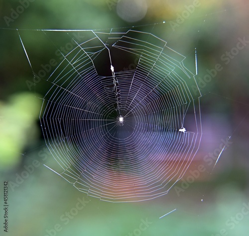 Kleines Spinnennetz