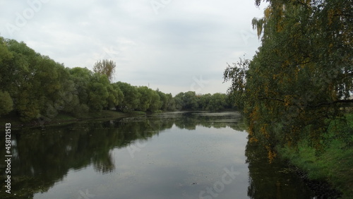 reflection of trees in the water