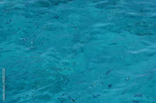 blue water surface