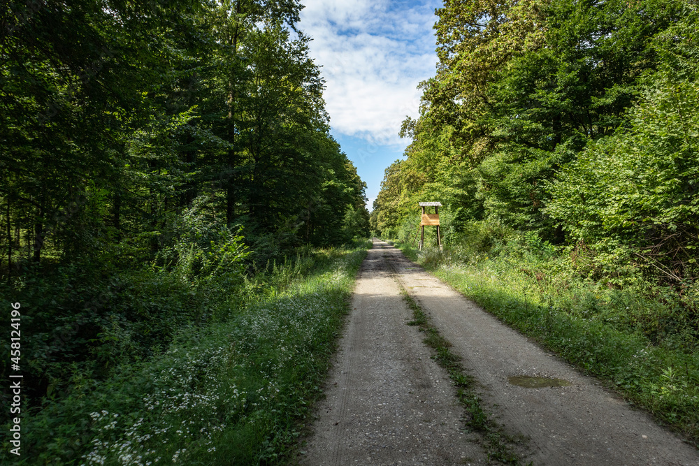 Hunting and observatory tower used for watching wildlife, standing by the gravel road in the center of Turopoljski Lug, famous hunting grounds near the city of Zagreb, Croatia