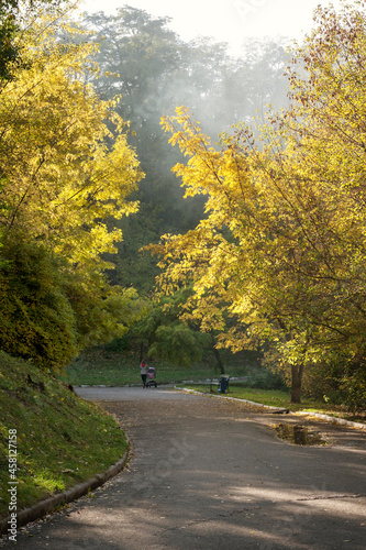 Autumnal people walking in the park