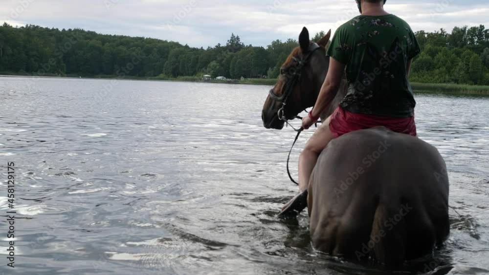 horse swim swimming wading walking in water lake sunset