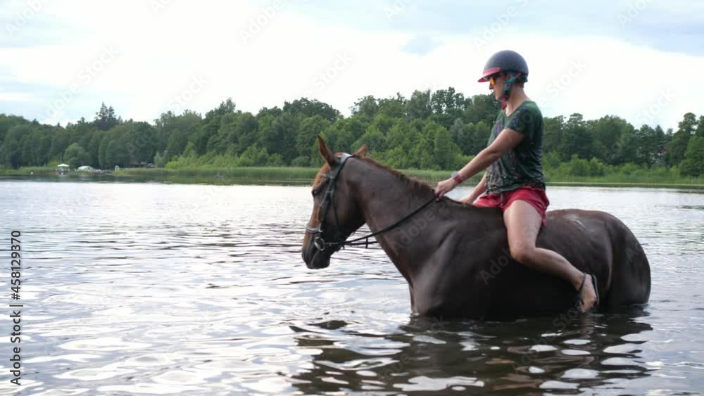 horse swim swimming wading walking in water lake sunset