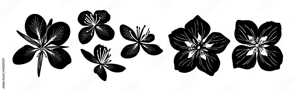 Flowers. Six black vector silhouettes of celandine, jasmine and ...