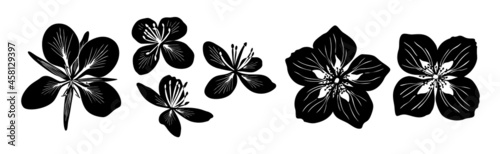 Flowers. Six black vector silhouettes of celandine, jasmine and fireweed flowers isolated on white background. photo