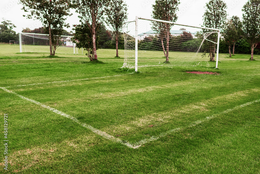 Fototapeta premium White metal soccer or football goal post and freshly cut training pitch. Cloudy sky. Simple sport background. Nobody. Cut green grass on a field.